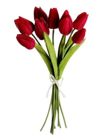 56f1f589-a80e-48a6-8e33-6d801be9aa40