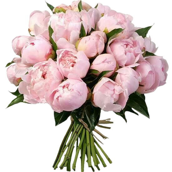 6947278d-9b4f-4de0-9461-cf5d4b246878